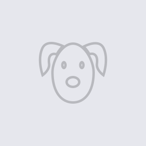 puppy-1